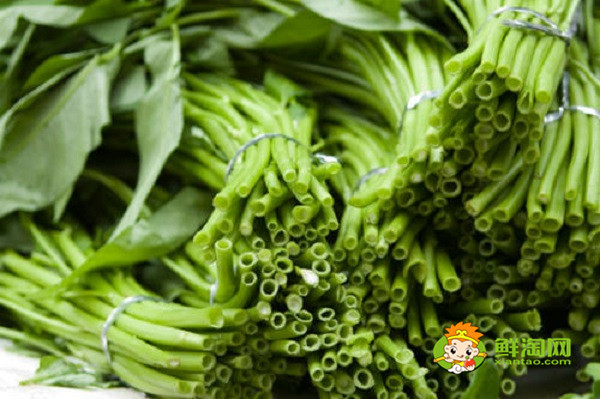 吃空心菜的禁忌,这些时候最好不要再吃了