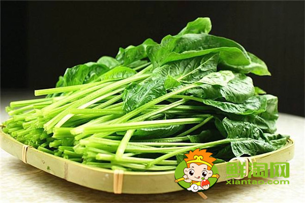 菠菜用开水烫一下能吃吗,每天吃菠菜对身体好吗