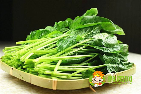 菠菜怎样吃营养不流失,晚上吃菠菜影响睡眠吗