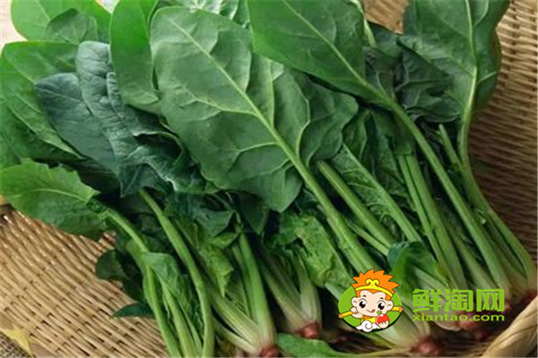 菠菜怎样吃营养不流失,晚上吃菠菜影响睡眠吗