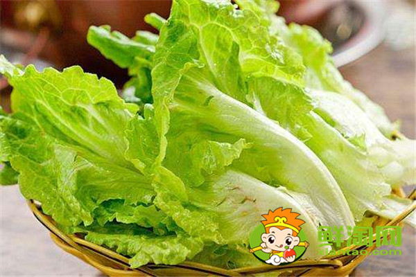 菠菜不能用刀切吗,手撕的蔬菜和刀切的蔬菜哪个好