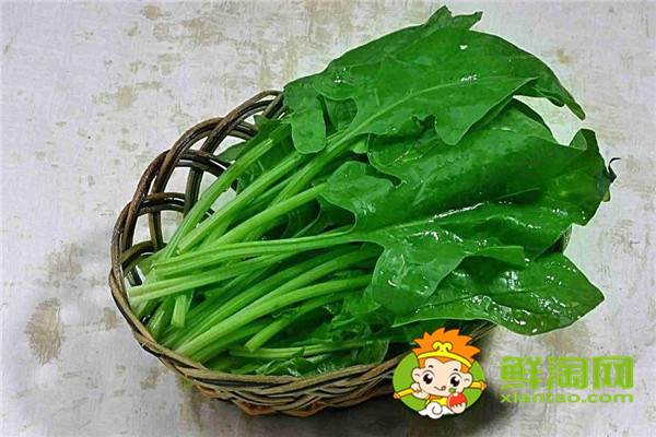 菠菜不能用刀切吗,手撕的蔬菜和刀切的蔬菜哪个好