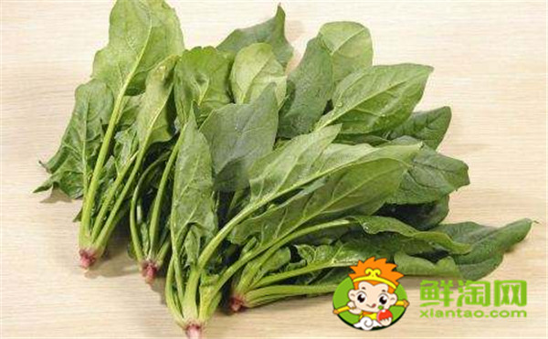 菠菜一定要吃熟的吗,菠菜未熟吃了会怎么样