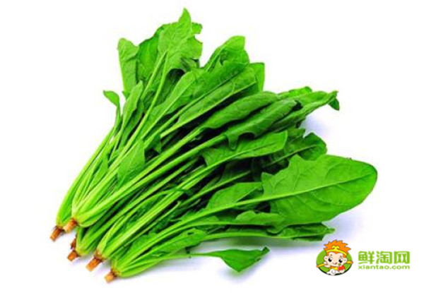 菠菜一定要吃熟的吗,菠菜未熟吃了会怎么样