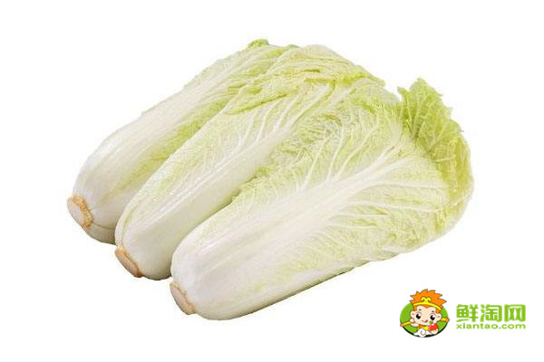 娃娃莱放在冷库能保存多久,娃娃菜储存时间最久的办法