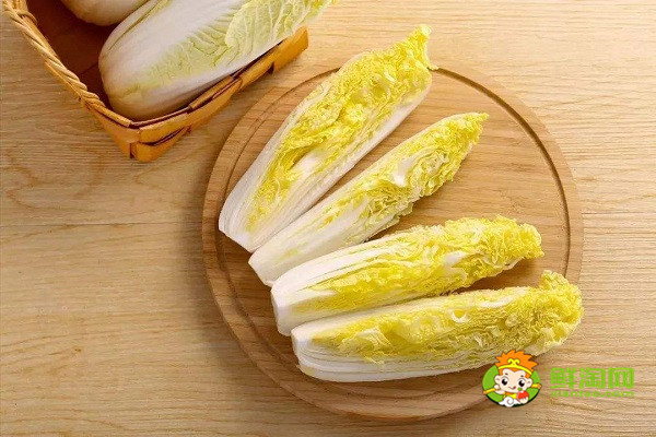 娃娃菜能放冰箱吗,娃娃菜保鲜的小妙招