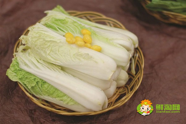 娃娃菜是白菜吗,两者的区别非常明显