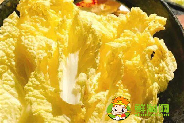 没有高汤也能做出鲜美营养的娃娃菜,你千万不能错过了