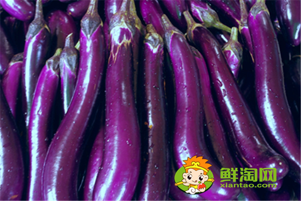 茄子是感光食物吗,吃什么排黑素最强