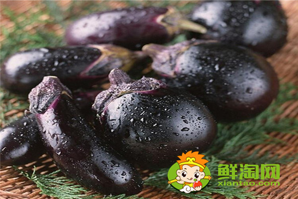 茄子是什么季节的,秋茄子能吃吗