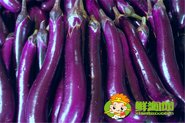 茄子为什么要泡水,茄子硬的好还是软的好