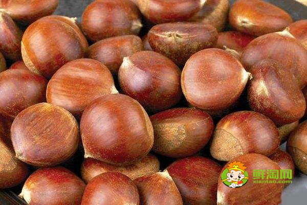 板栗怎么煮好吃好剥壳,先做这两步板栗好吃又好剥