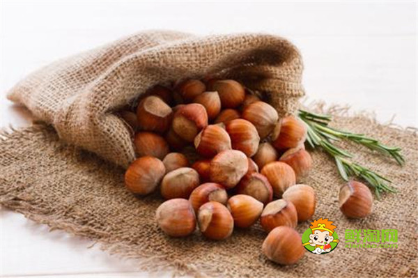 生板栗怎么去皮,热胀冷缩法实用又方便