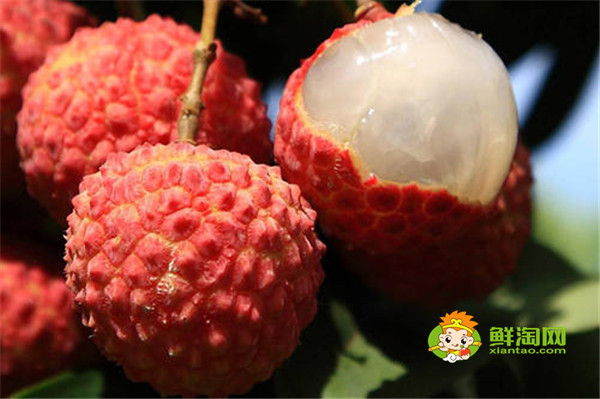 女人必吃的暖宫水果有哪些,温热性水果都可以起到很好的效果