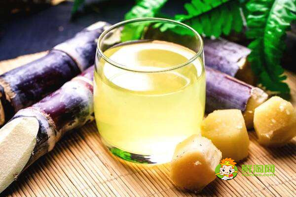 黑皮甘蔗可以榨汁吗,黑皮甘蔗榨汁可以补充人体能力等