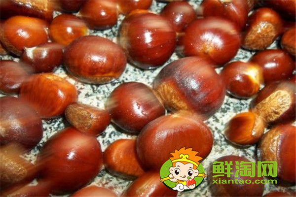 减肥期间可以吃栗子吗,栗子怎么吃补肾