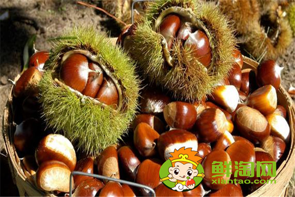 减肥期间可以吃栗子吗,栗子怎么吃补肾