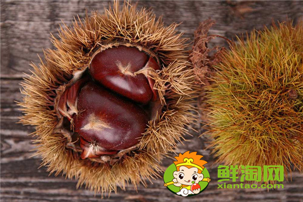 给栗子划口怎么快,板栗怎样保存