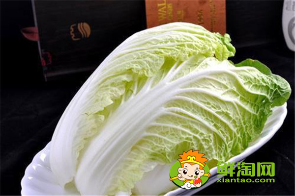 大白菜的营养价值及功效,怎么挑选新鲜大白菜