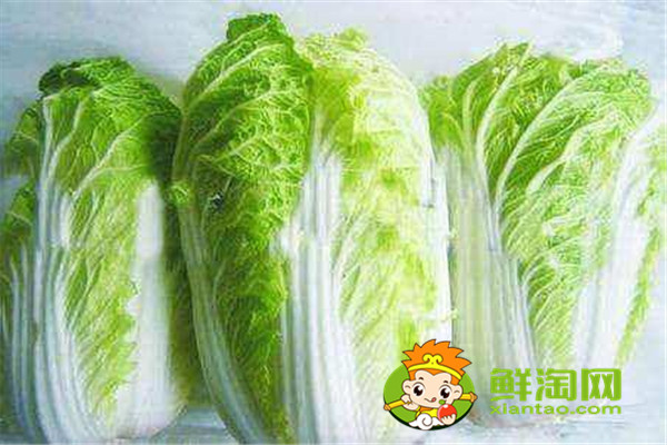 大白菜的营养价值及功效,怎么挑选新鲜大白菜