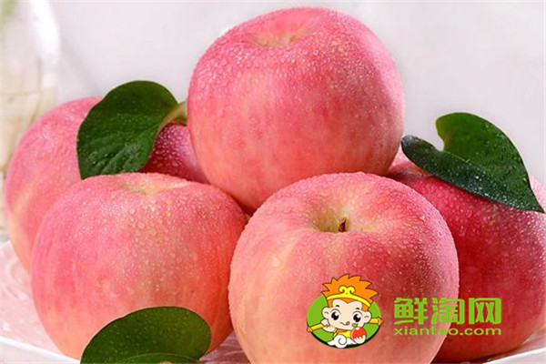 冬季苹果储存方法,海棠果是苹果吗