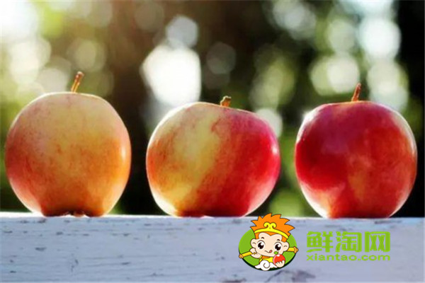 苹果可以热一下吃吗,苹果是吃热的好还是凉的好