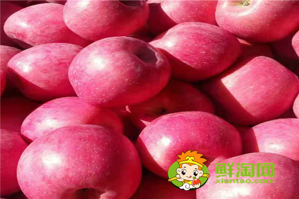 苹果和苹果皮哪个更有营养,苹果煮熟吃还有营养吗