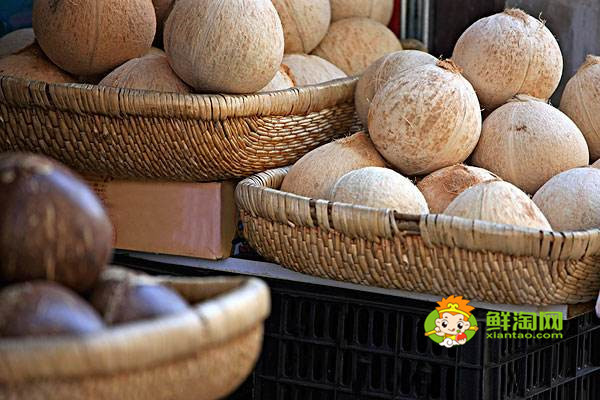 吃椰子对孕妇的好处,孕妇吃椰子有祛斑治感冒的作用