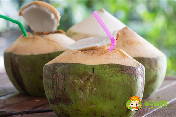 椰子属于水果还是坚果,椰子属于核果类水果