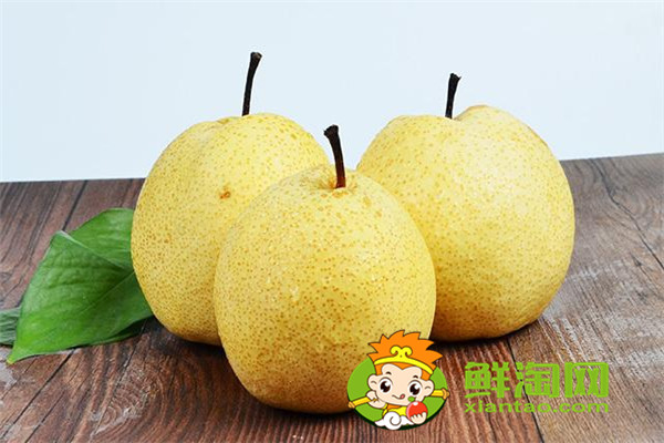 梨汤怎么做能润肺止咳,梨子怎么挑选