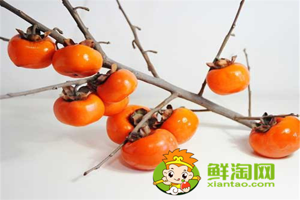 柿子的热量,柿子吃多了会发胖吗