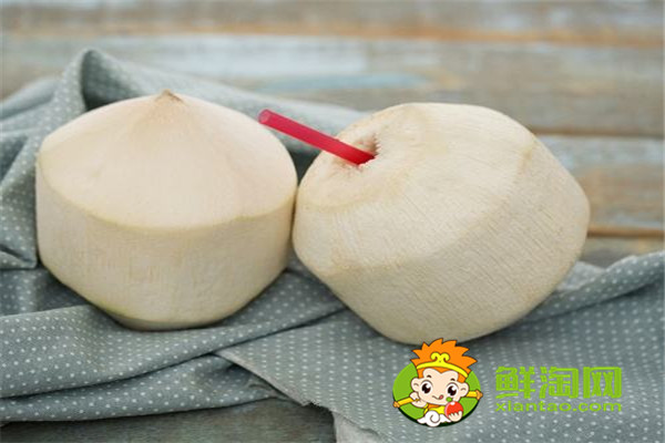 毛椰子和青椰子的区别,怎么挑选椰子