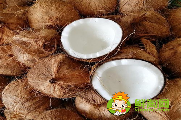 经常喝椰子水好不好,椰肉煮汤好吗