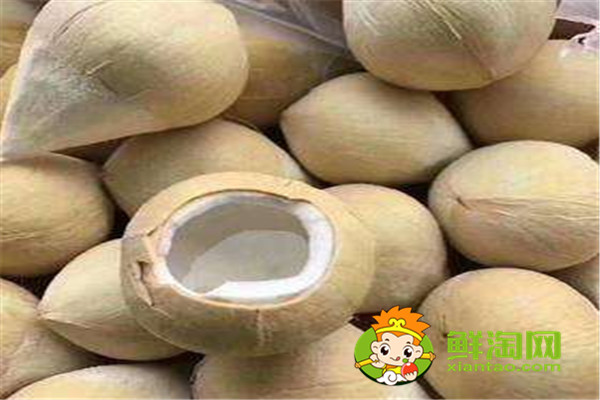 椰子的热量高吗,椰子煲汤怎么做