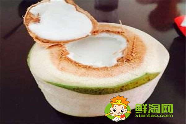 椰浆跟椰汁有什么不同,椰子什么时候成熟