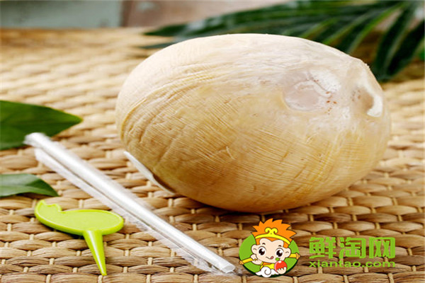 椰浆跟椰汁有什么不同,椰子什么时候成熟