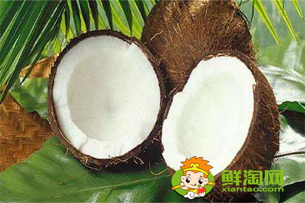 椰奶是椰汁加牛奶吗,椰青可以和牛奶混合吗