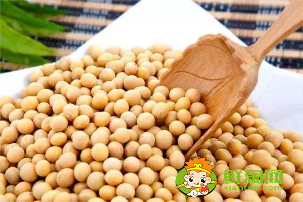 如何用黄豆做豆浆,手磨豆浆和机器做的豆浆哪个好