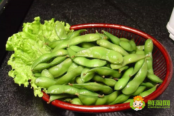 毛豆是发物吗,毛豆不是发物