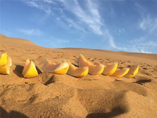 沙漠密瓜和哈密瓜有什么区别