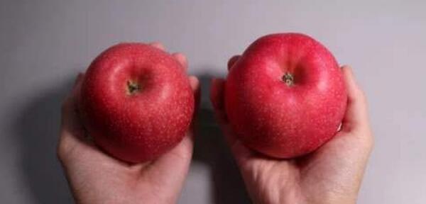 怎样挑选苹果才好吃