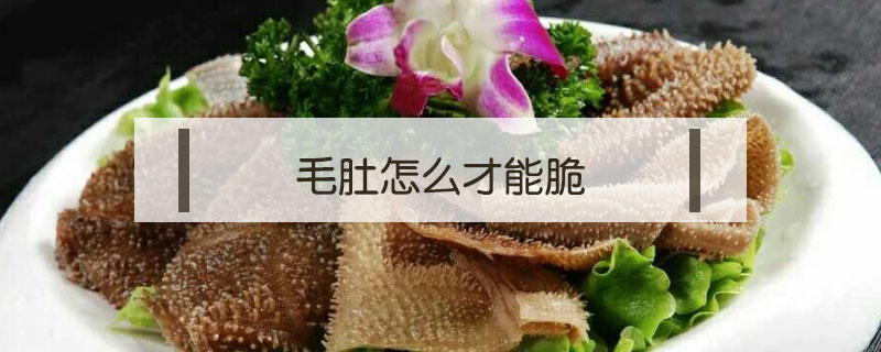 毛肚怎么才能脆
