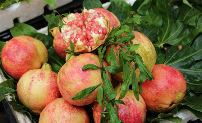 石榴保存最长时间有哪些方法,石榴放冰箱能放多久