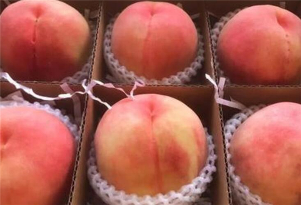 上海特产有哪些,来上海必买的10件东西