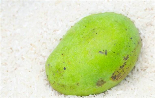 芒果怎么催熟的快,芒果怎么催熟又不烂方法