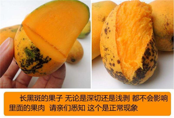 芒果怎么催熟的快,芒果怎么催熟又不烂方法