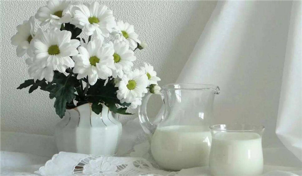 喝牛奶的最佳时间,喝牛奶记住4个最佳时间