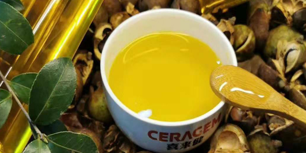 山茶油是山茶花的籽榨的吗