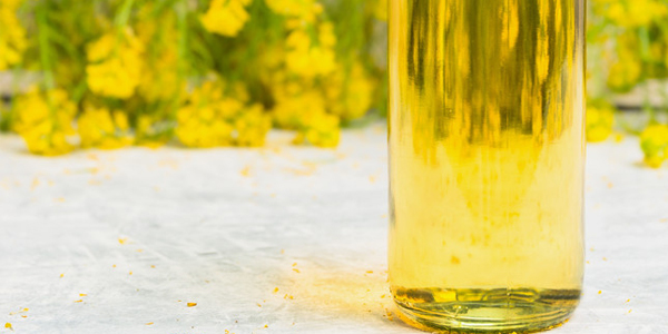 菜籽油是什么油
