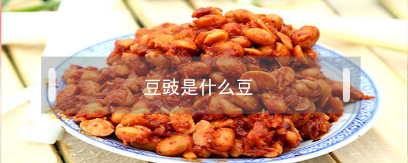 豆豉是什么豆